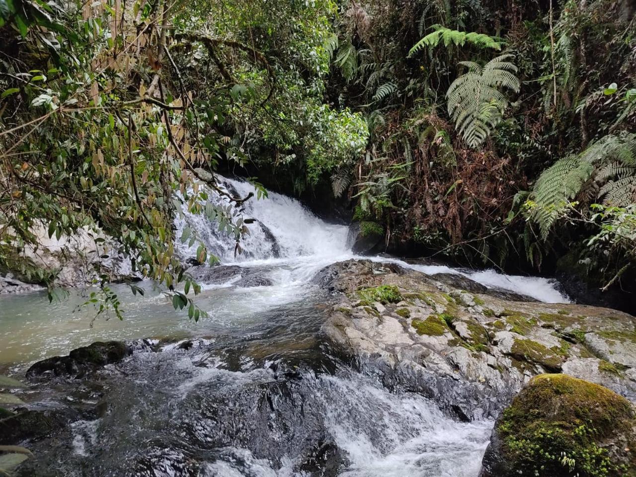 La Serena Reserva Natural Concepcion ภายนอก รูปภาพ