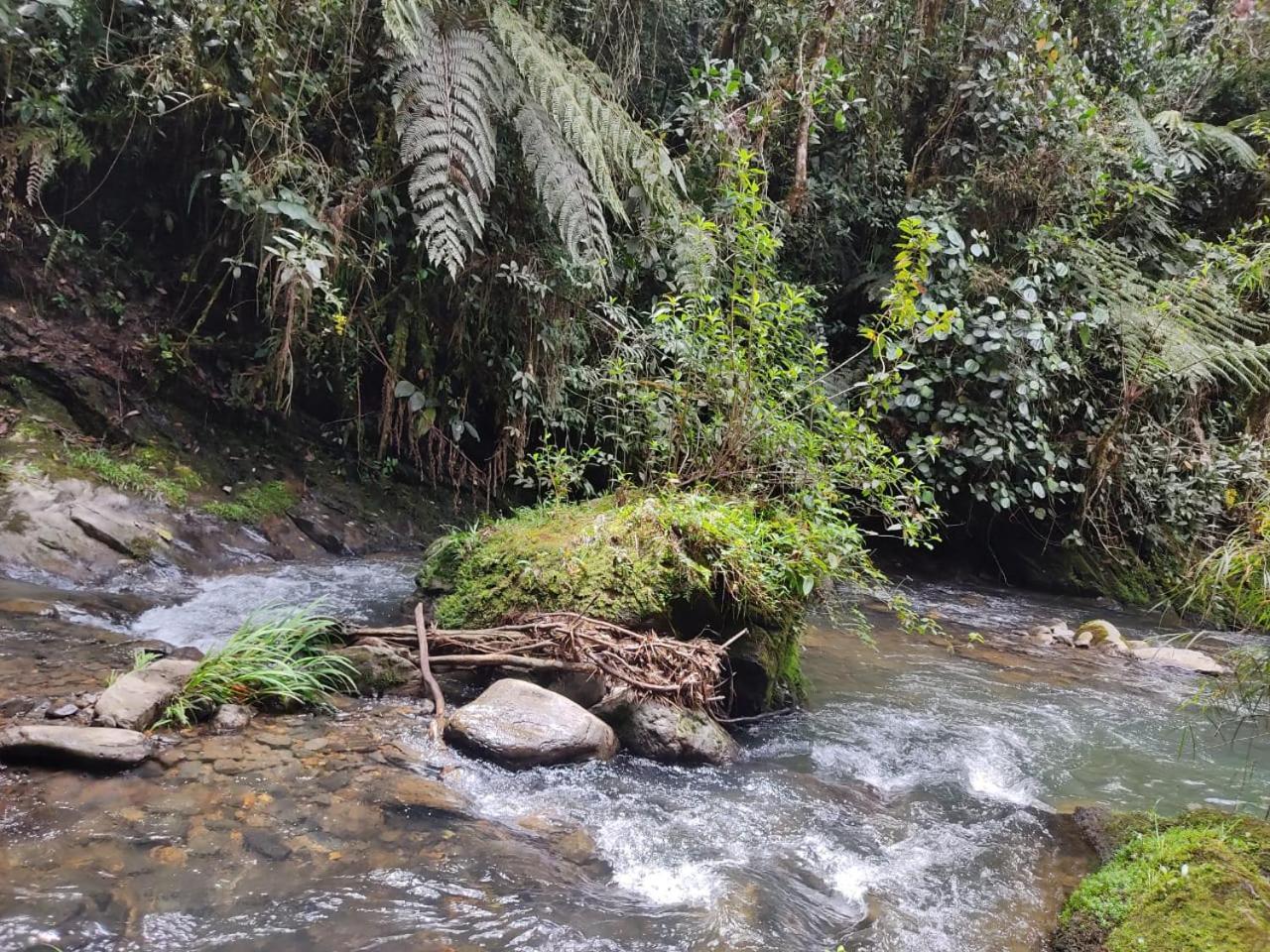 La Serena Reserva Natural Concepcion ภายนอก รูปภาพ