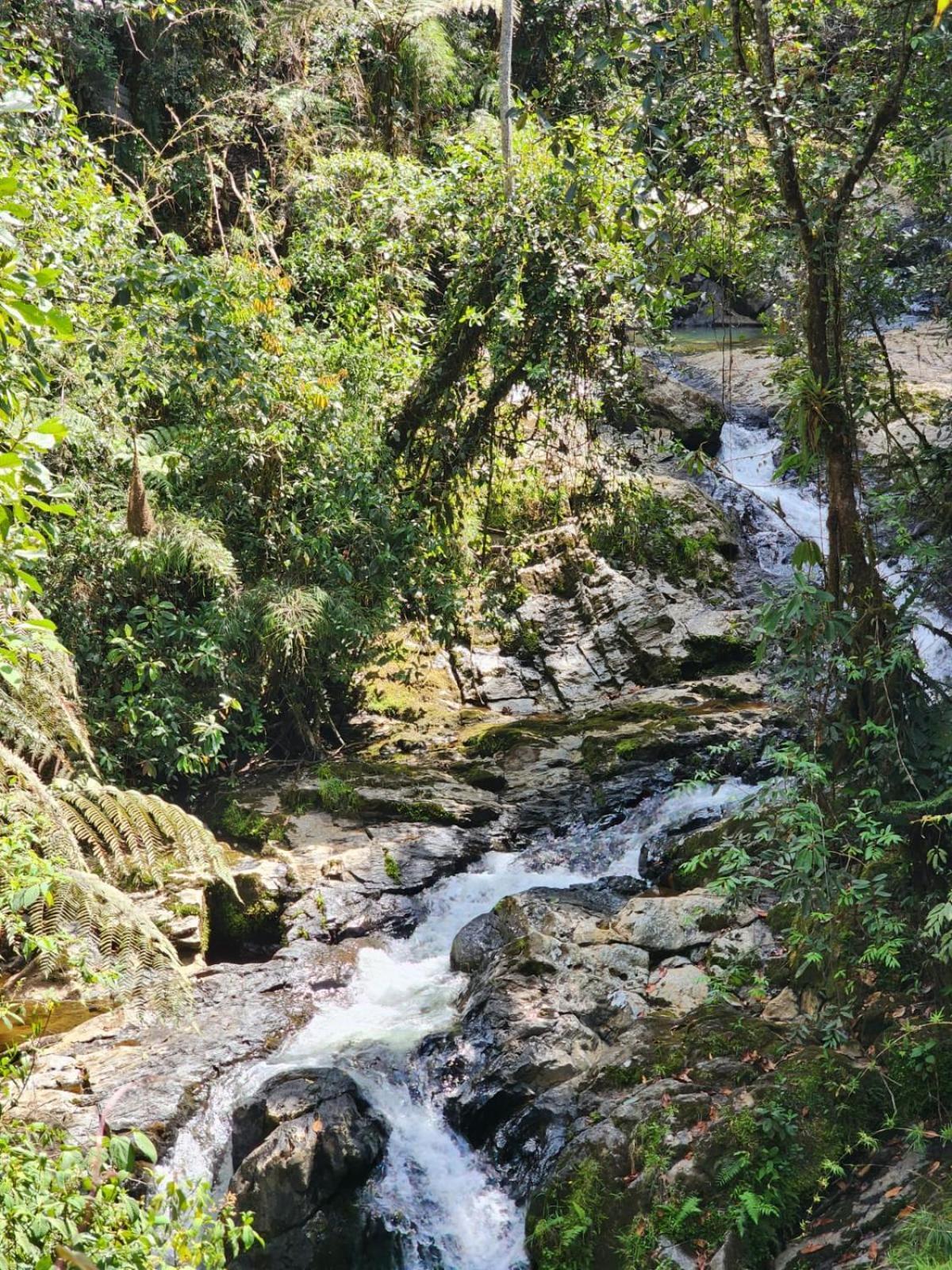 La Serena Reserva Natural Concepcion ภายนอก รูปภาพ